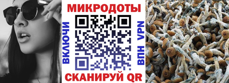 даркнет сайт Болохово Галлюциногенные грибы MAGIC MUSHROOMS