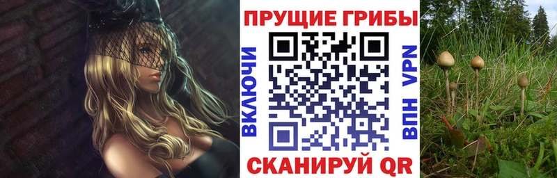 Псилоцибиновые грибы прущие грибы Болохово